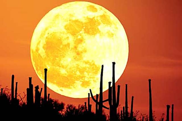 Now, This Moon Mission Sounds Good