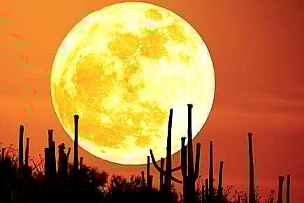 Now, This Moon Mission Sounds Good Now, This Moon Mission Sounds Good