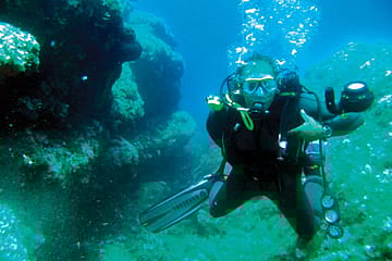 Dive into This Course