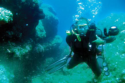 Dive into This Course