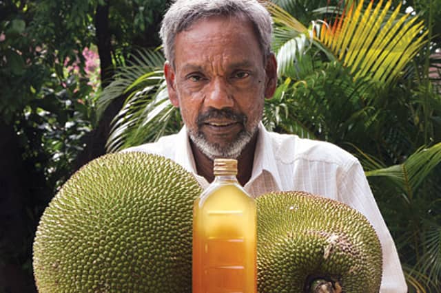 Jackfruit Wine, Anyone?