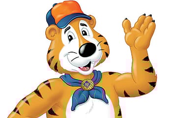 Tiger Tiger Looking Nice