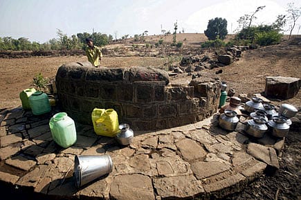 The Rot Has Been Revealed