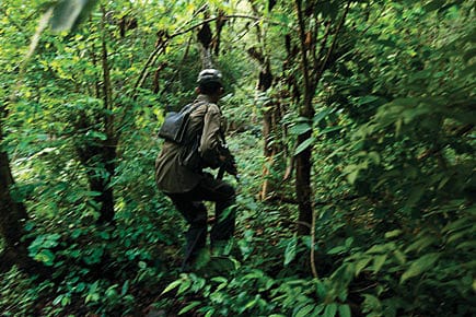 Red Sunrise in the Northeast