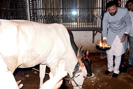 Red Earth and Multicoloured Patronage