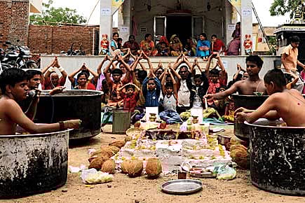 Revenge of the Brahmin Revenge of the Brahmin