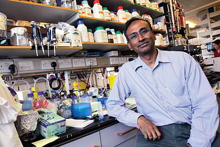 ‘Scientists Don’t Work to Win the Nobel’