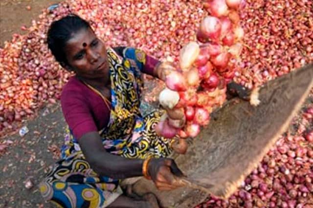 No Pakistanis Please