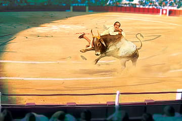 Democracy as a Demographic Puzzle