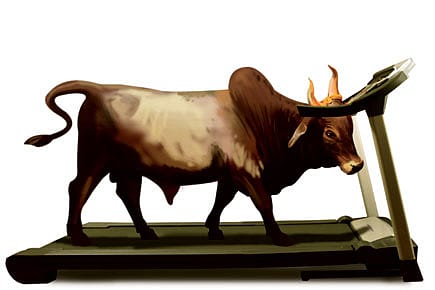 The Election Year Challenge