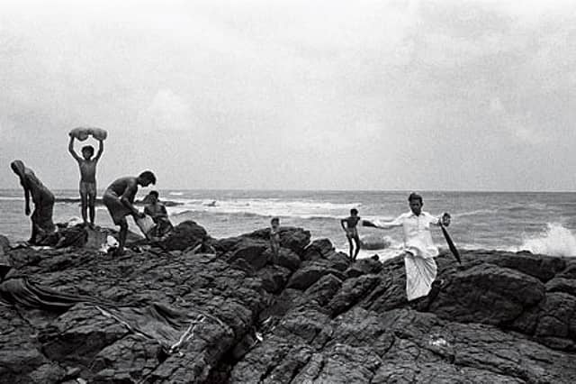 Study of an Archive Photographer