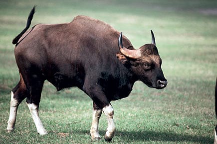 A Traveller’s Tale A Traveller’s Tale