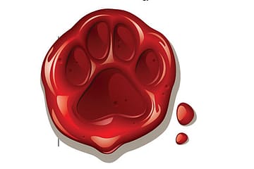 Who Shrunk the Tiger?