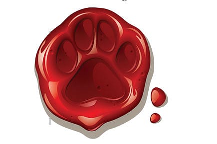 Who Shrunk the Tiger?