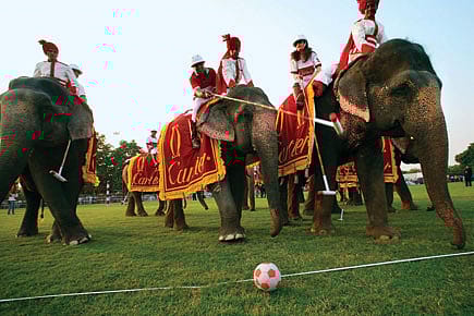 For the Love of Polo