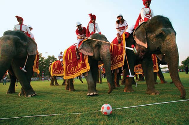 For the Love of Polo