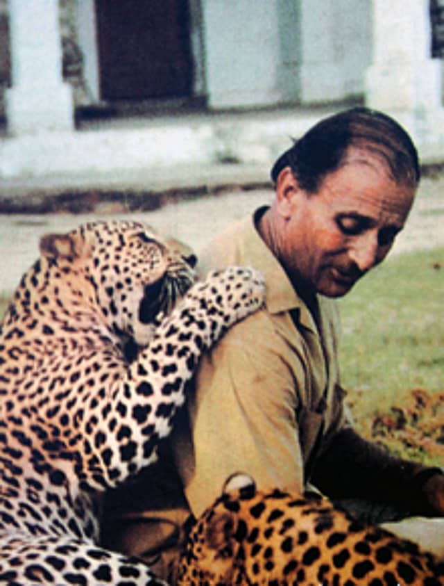 A Tiger’s Last Winter