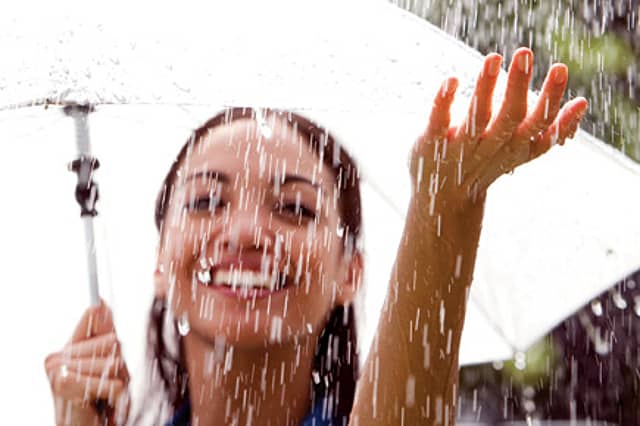 In Search of the Smell of Rain