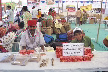 Organic Food for Thought Organic Food for Thought