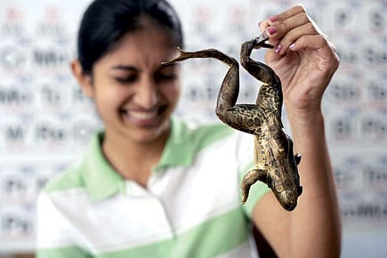 The Right to Dissect