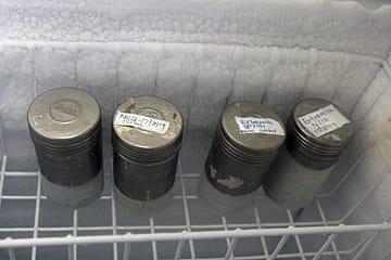 The Milk Banks of Mumbai