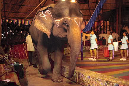 A Complicated Lust Story