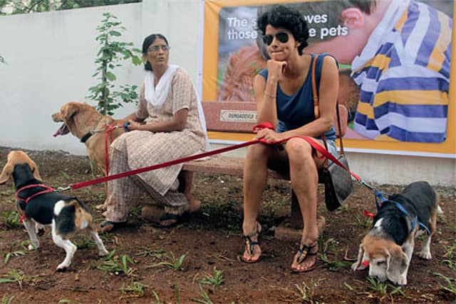 A Place to Call their Own