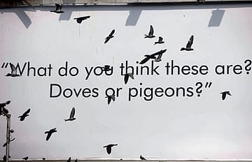 Angry Men and Well-fed Birds