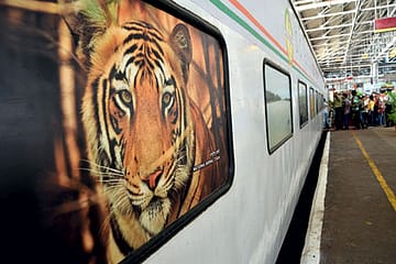 On Board the Science Express