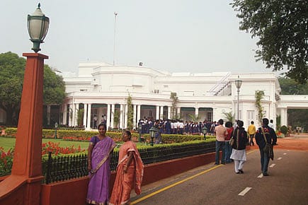 All the President’s Pests