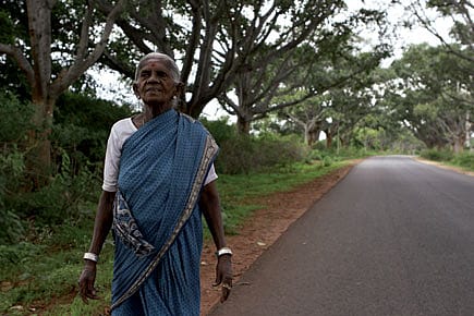 These Trees are Her Children These Trees are Her Children