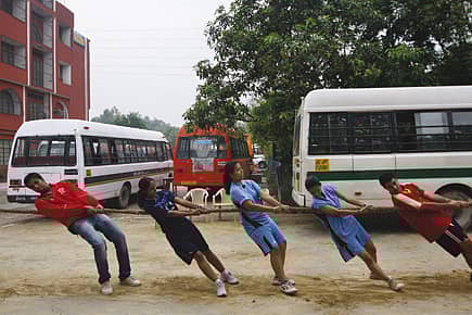 The Tug of War Groupies