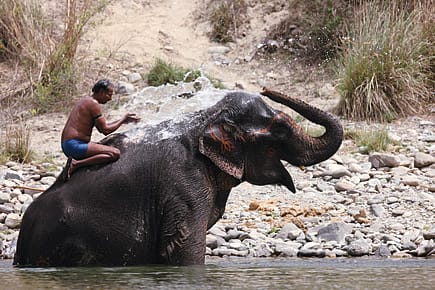 Trunk Calls to Jaldapara Trunk Calls to Jaldapara