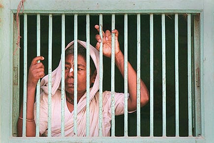 Words in the Wilderness