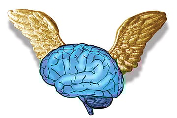 Strapped to the Cause