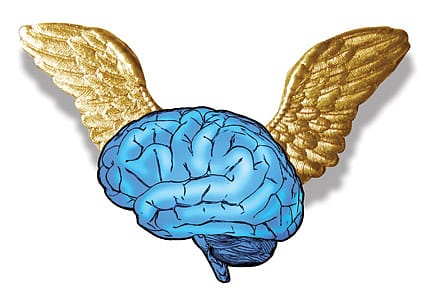 Strapped to the Cause