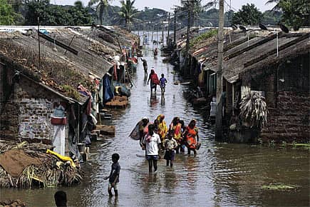 After the Flood