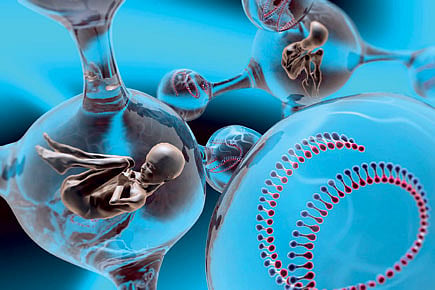 Assisted Reproduction: the Risks