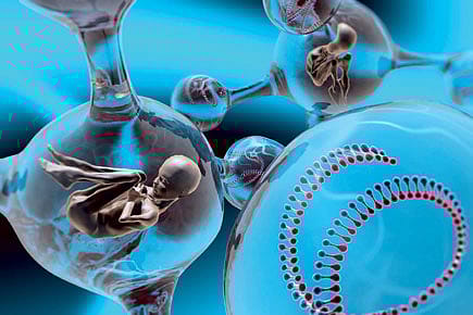 Assisted Reproduction: the Risks