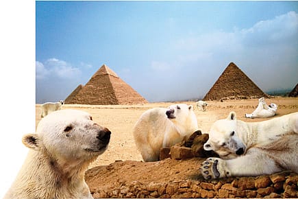 …and Still Counting