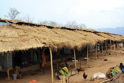 Relocation Rumpus Relocation Rumpus