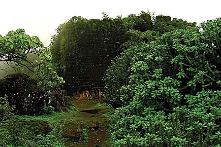 Hey Baby, Baby, it’s a Wild World.com