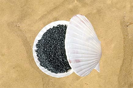 Salt of the Chic