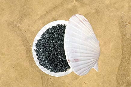 Salt of the Chic