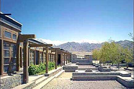 Greenest of Them All Greenest of Them All