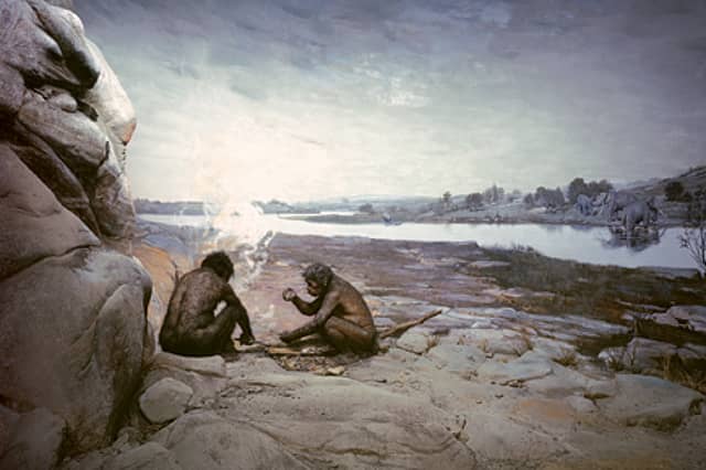 The Human Ancestor Conundrum