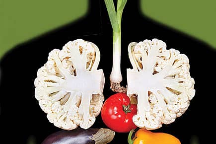 Your Gut Health