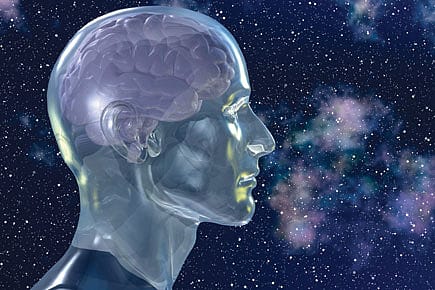 High on Dopamine High on Dopamine