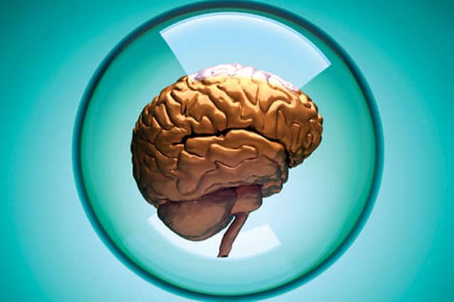 Our Shrinking Brains