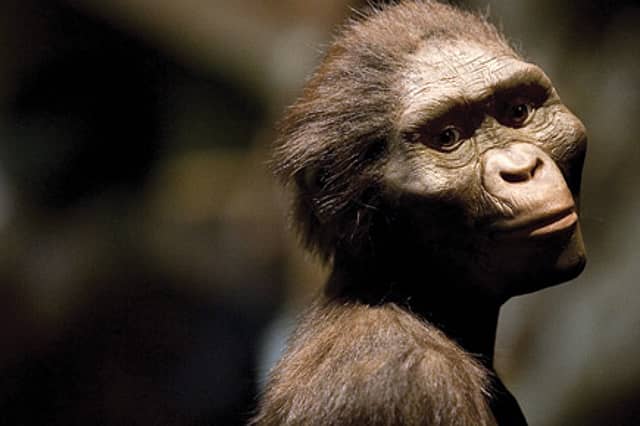 Our Carnivorous Past